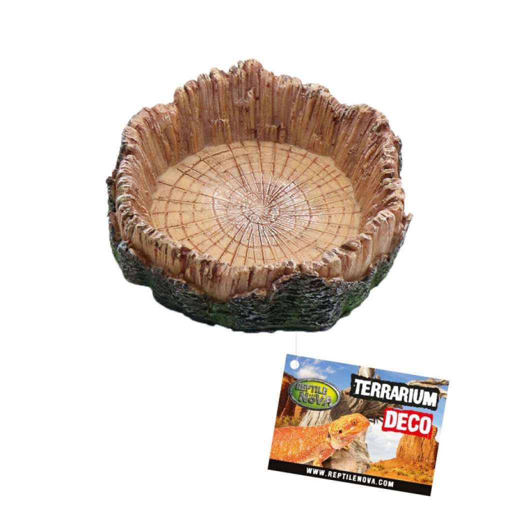 Terrarienschale aus Epoxidharz